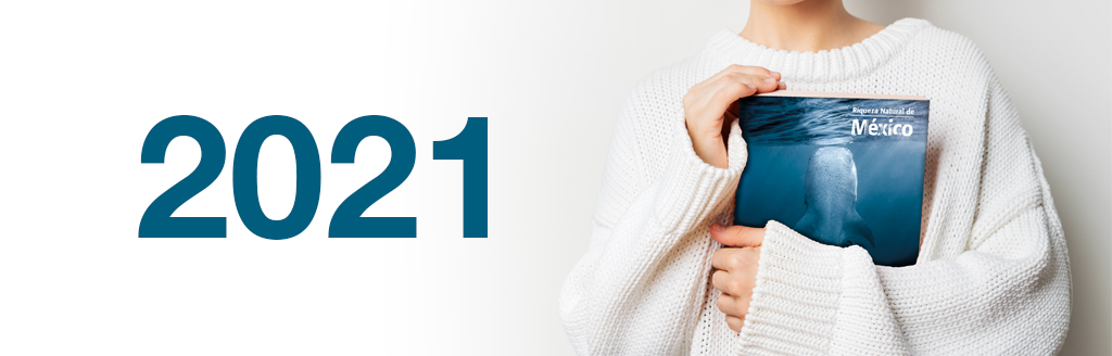 Libro 2021
